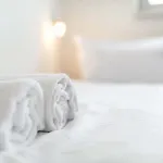 Appartement Premium For Groups